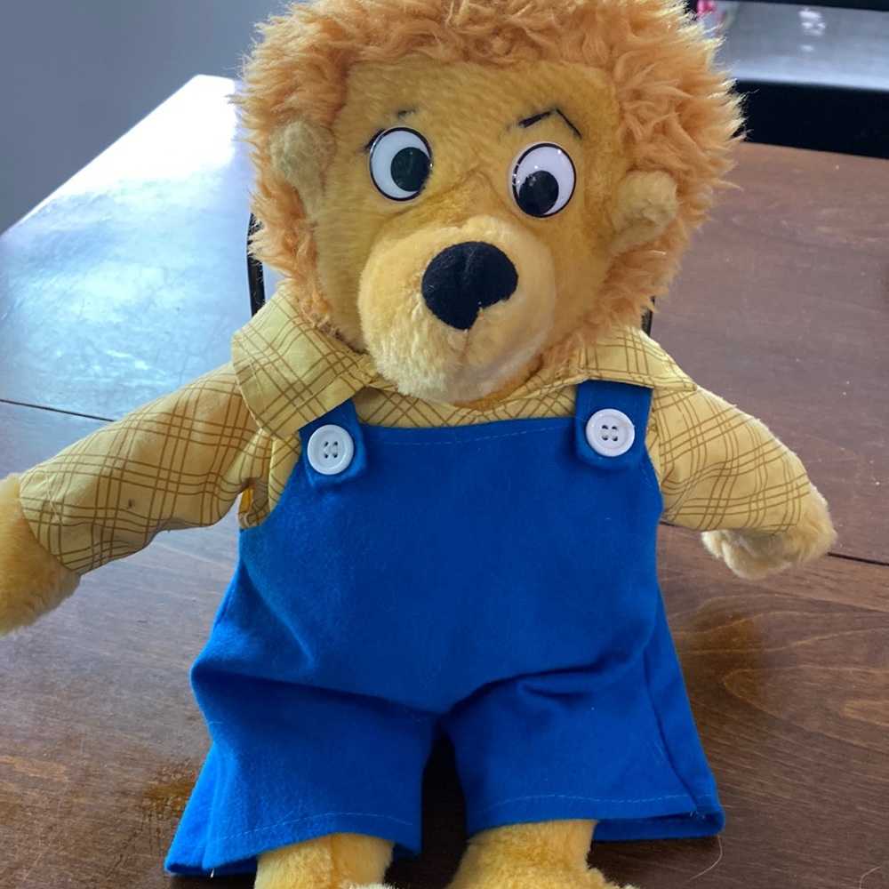 Berenstein Bears Papa Bear